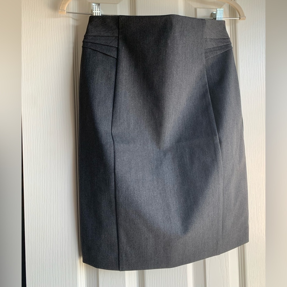 Express Pencil Skirt